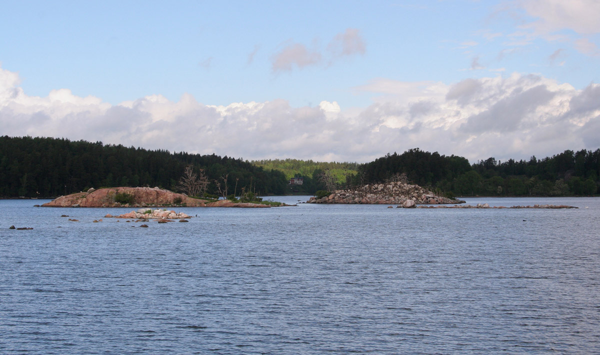 En av vissa hatad skarvkoloni i Stockholms skärgård.