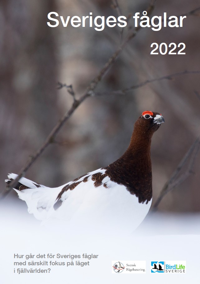 Sveriges fåglar 2022.