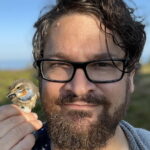 Martin Stervander, Taxonomikommittén