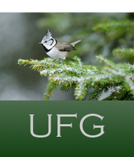 Ulricehamns fågelgrupp